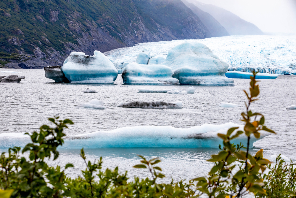 View through foliage to icebergs in Spencer Lake.