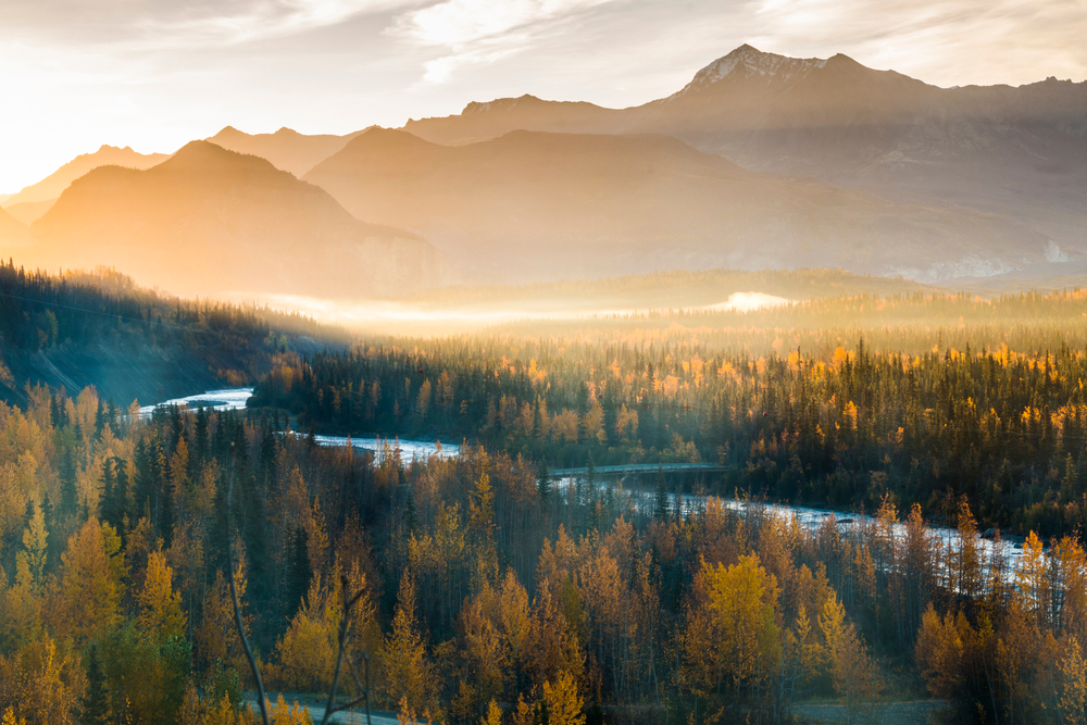 Sunshine over a valley with fall trees Alaska in september