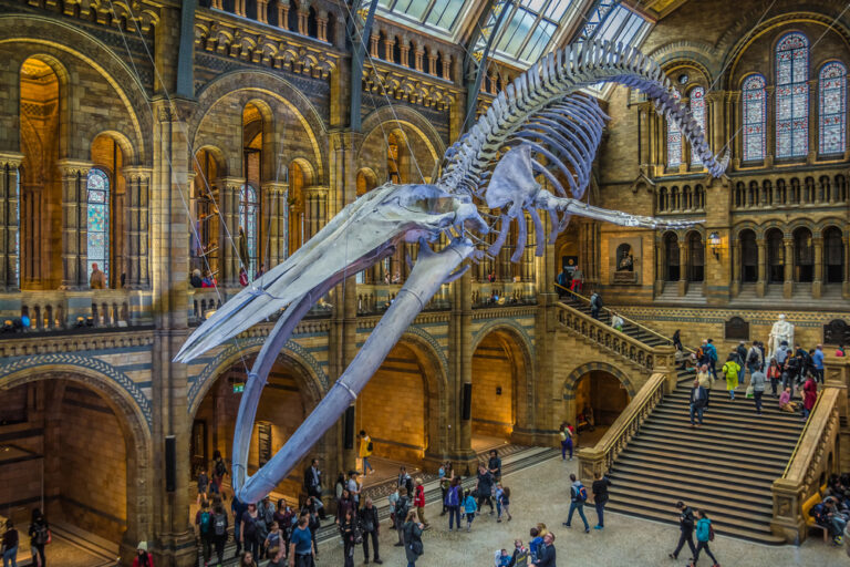 London With Kids: 15 Best Things Not To Miss - Linda On The Run