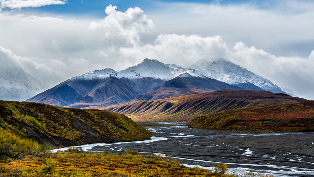 The braided channels of the Toklat river meanders through colorful Autumn foliage in Denali National Park, Alaska.