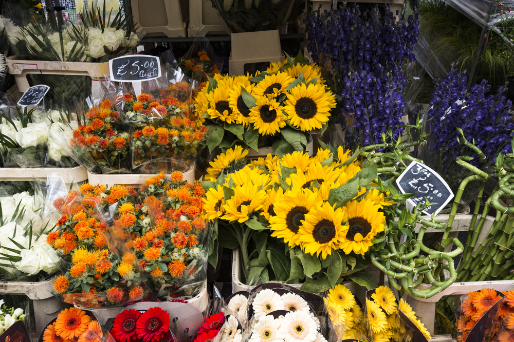 Stall full of sunflowers and other colorful flowers.