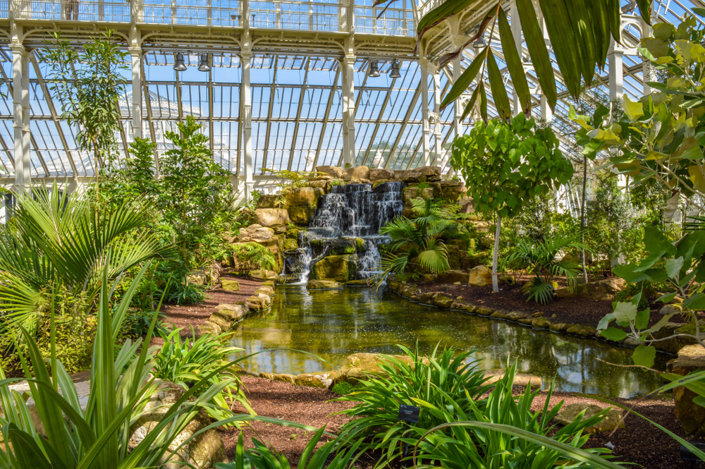 Waterfall and lush greenery in one of the greenhouses in Kew Gardens, one of the best Things to do for Couples in London.