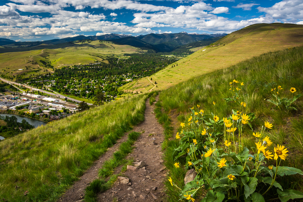 Hiking trail in mountains overlooking Missoula with yellow flowers.