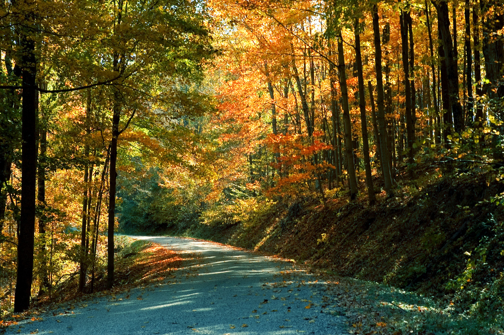 A scenic road surrounded by trees with yellow, orange, red, and green leaves one of the best things to do in Hocking Hills
