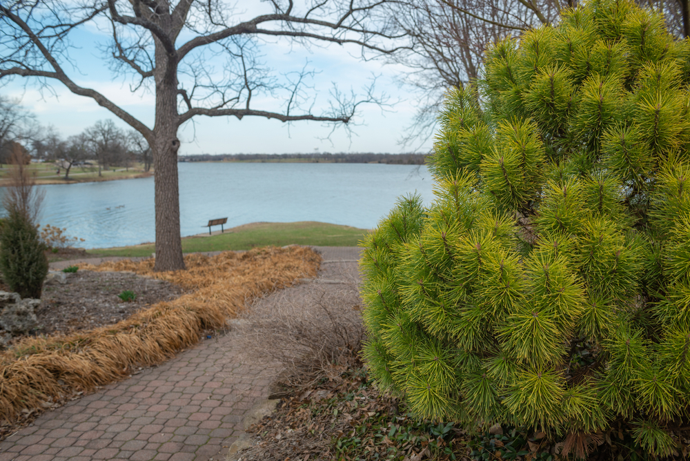 Lake Shawnee in Topeka KS. Lovely paved walking trails through gardens and parks, around the shore of the lake. Popular tourist destination.
