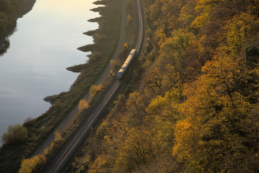 An aerial view of a train on the tracks next to a body of water and a dense forest full of trees with fall leaves