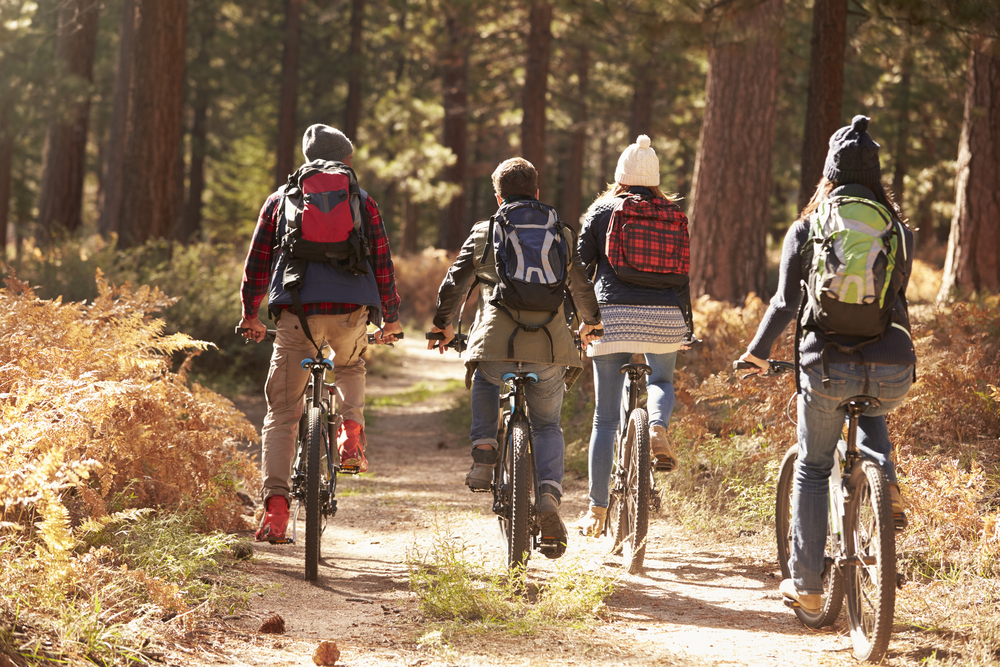 A group of people biking in the woods