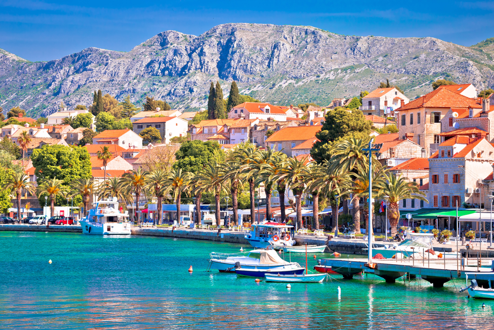 Harbor with boats and palm trees next to buildings with orange tiled roofs in Cavtat.