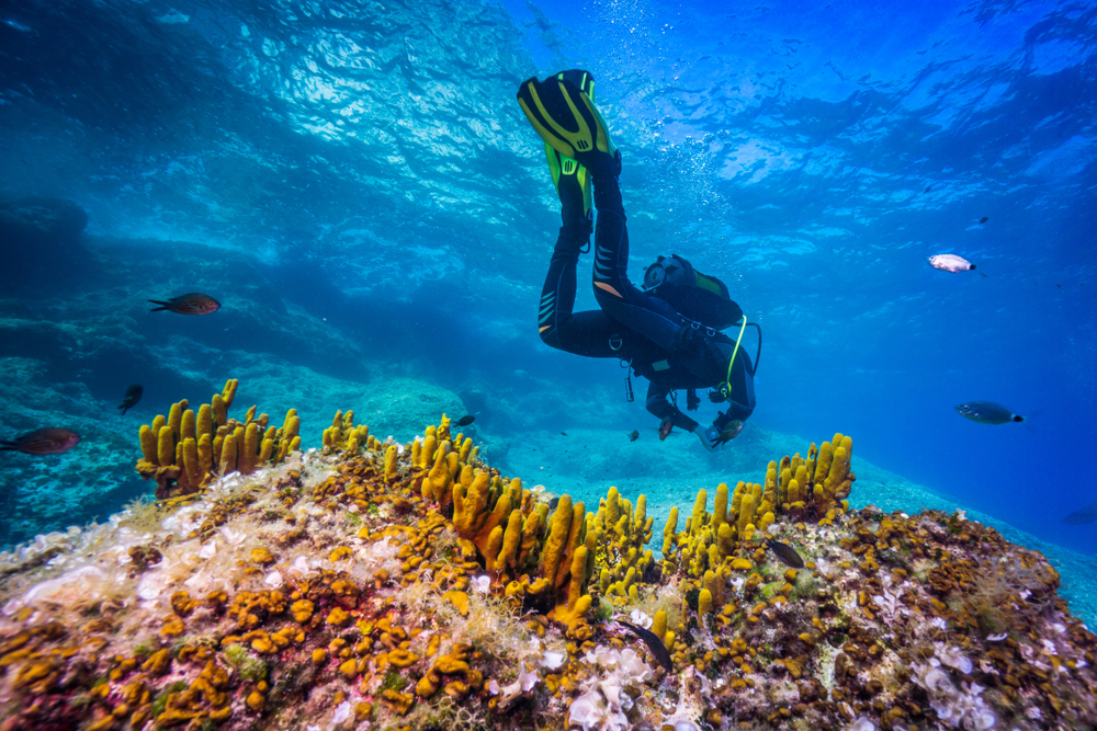 Scuba diver swimming over reefs among fish off the coast of Croatia.