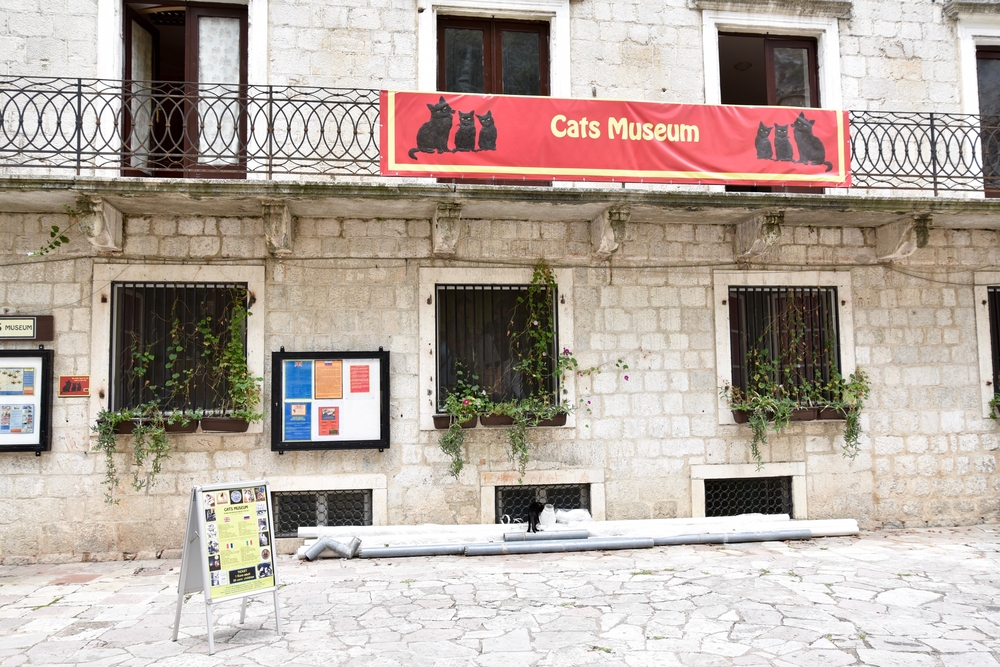 Exterior of the Cats Museum housed in an old stone building.