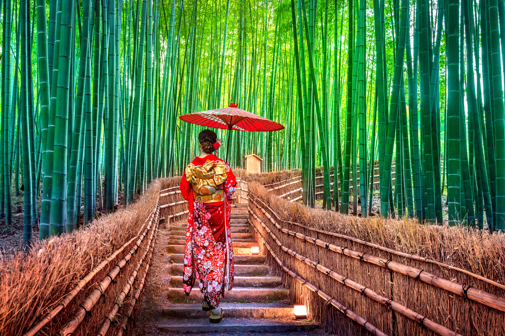 A woman dressed as a Geisha walking on a path in a bamboo forest