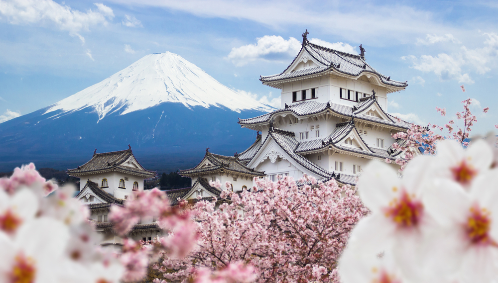 The view of Himeji Castle surrounded by cherry blossoms with Mt. Fuji in the distance, a popular place for traveling in Japan