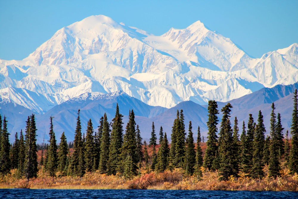 The rugged, snow-capped mountain Denali with pine trees and water in the foreground.