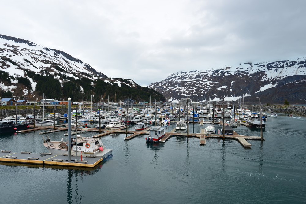 Overcast day at the Whittier harbor with many boats docked and snowy mountains in the background.