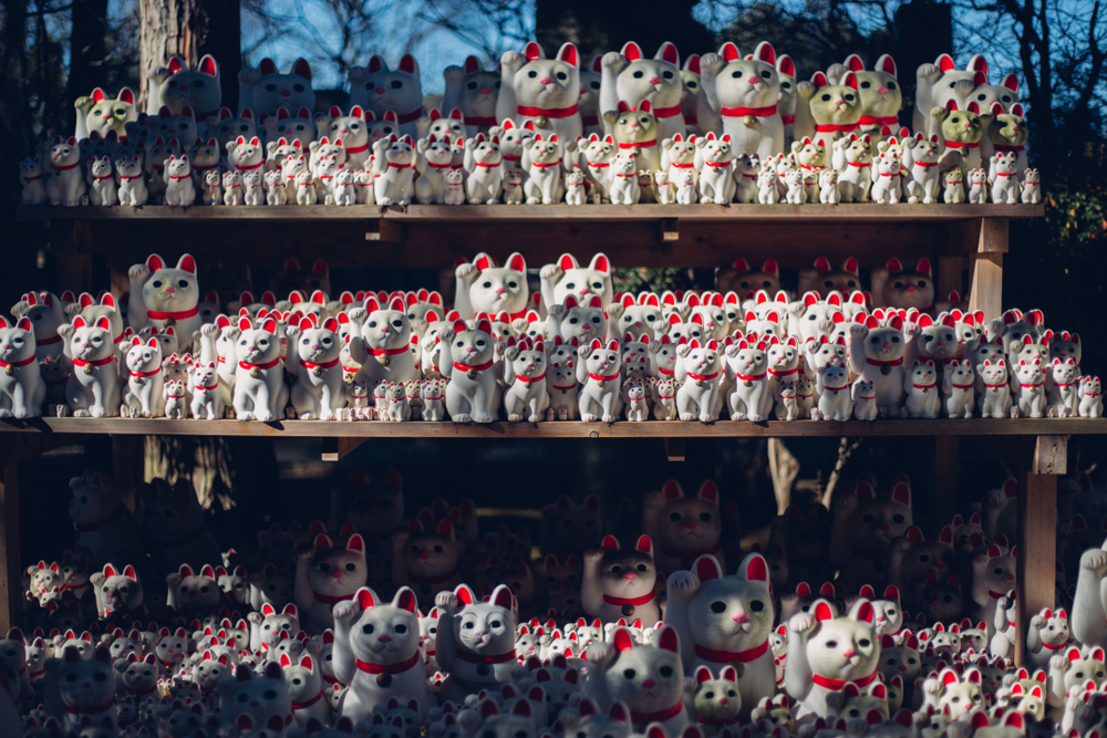 Thousands of white lucky cat statues at a shrine one of the most unusual things to do in Tokyo