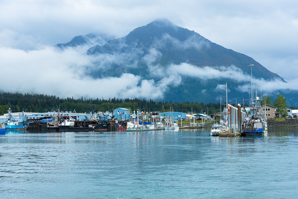 Boat harbor of Seward in southern Alaska ,set on an inlet on the Kenai Peninsula. You can see trees and mountains in the background. 