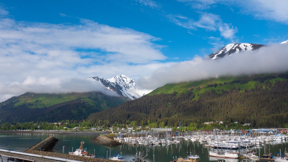 Seward  bay and landscape nature with mountain