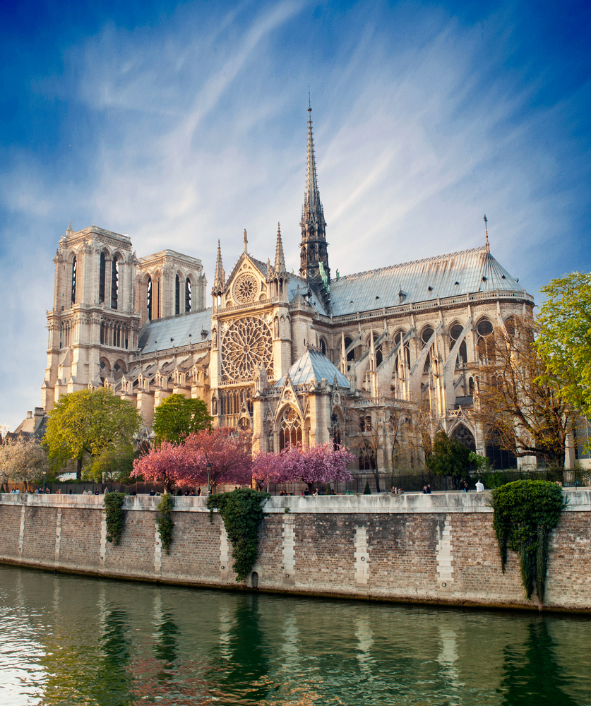 Notre dame de Paris with blossom trees outside. The picture is taken from across the water. 