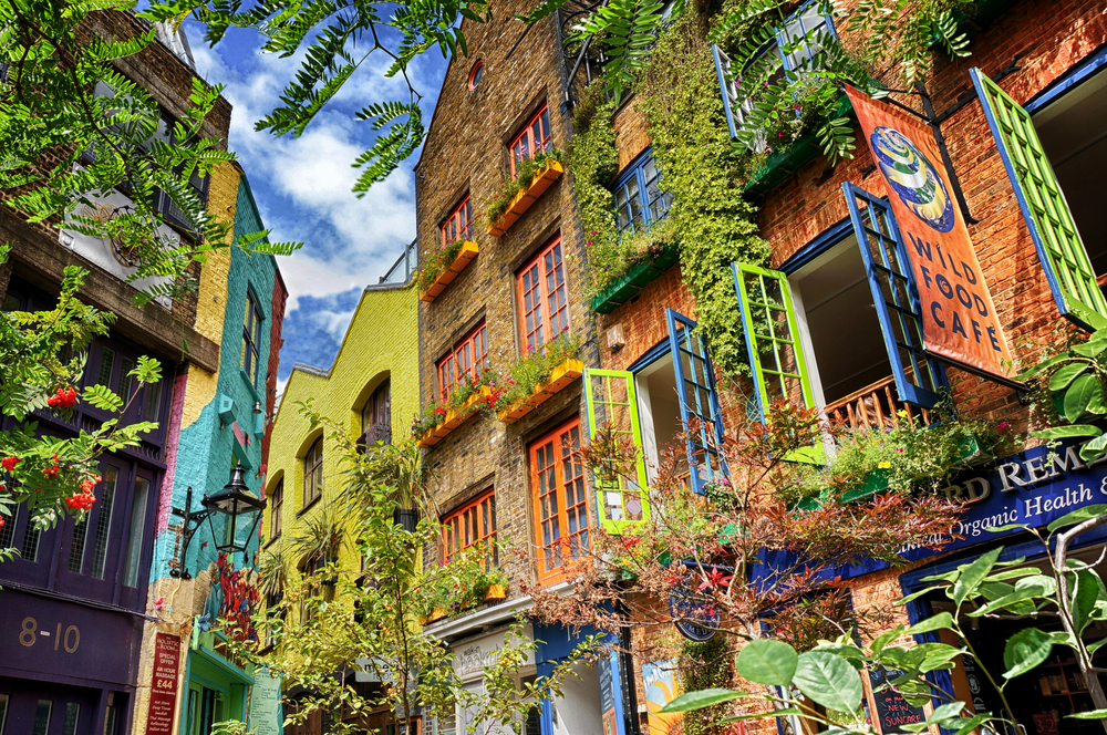 Looking up at colorful buildings covered in vines and other plants.