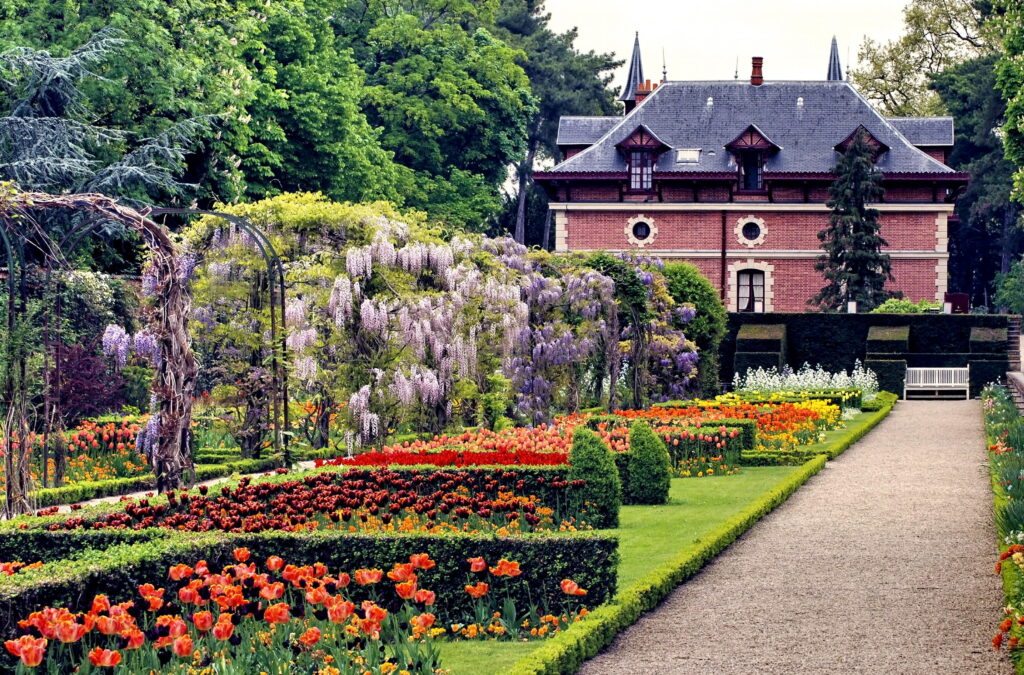 Colorful manicured garden with trellises  full of cascading purple flowers. Red brick building in background