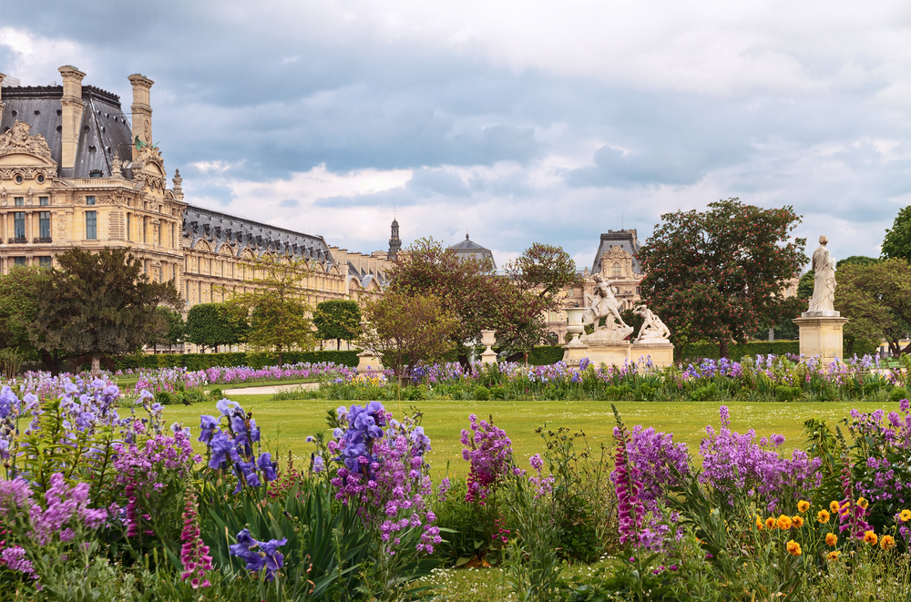 Cloudy day over the pretty Tuileries Garden with many statues, purple flowers, and the Louvre Museum in the background.