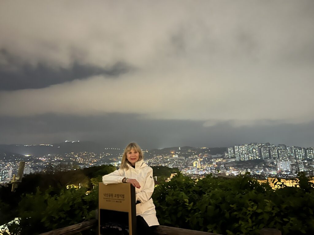 Woman standing atop a hill with the Seoul skyline laid out behind her on  cloudy night.