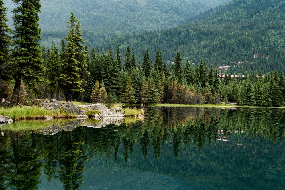 forest landscape green pines and crystal clear water of horseshoe lake. The article is about hiking in Alaska. 