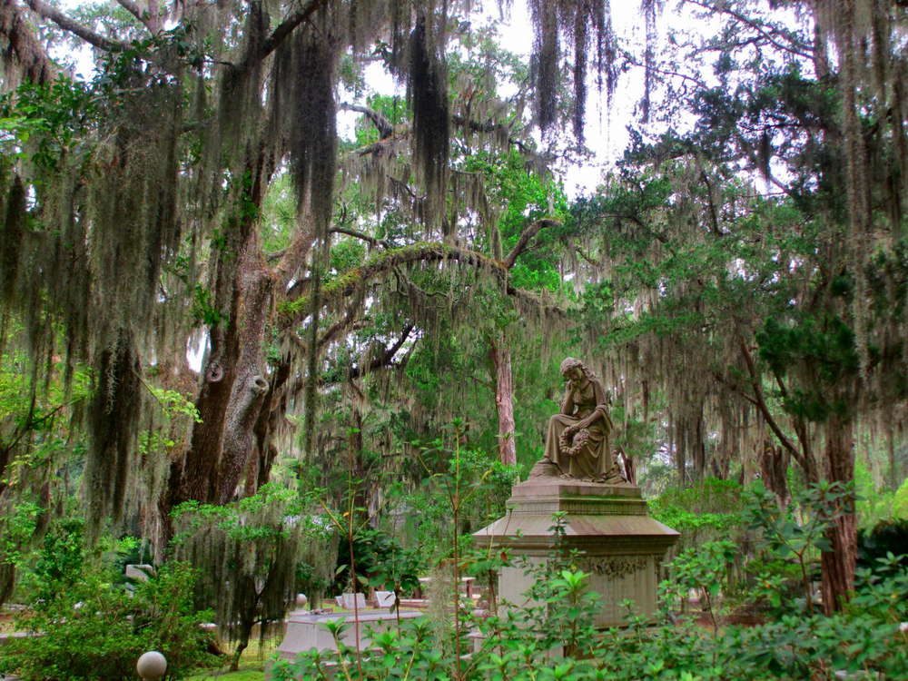 Tomb sculpture in the trees Bonaventure Cemetery Savannah Georgia.  One of the tours in Savannah GA you must go on. 