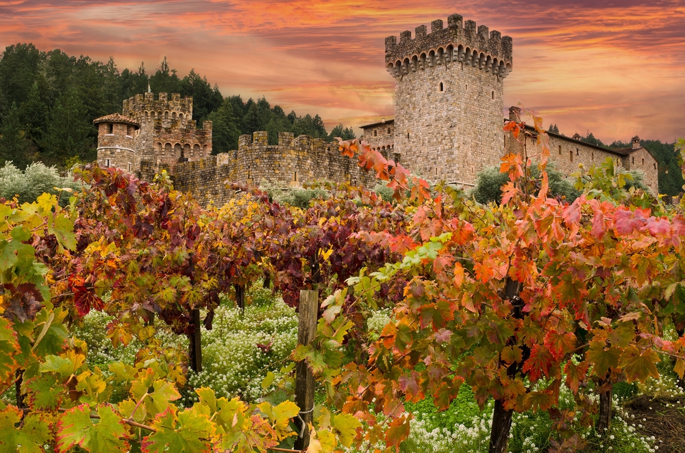 Napa Valley castle winery with vineyard grape vines in beautiful autumn colors and a colorful sunset sky.