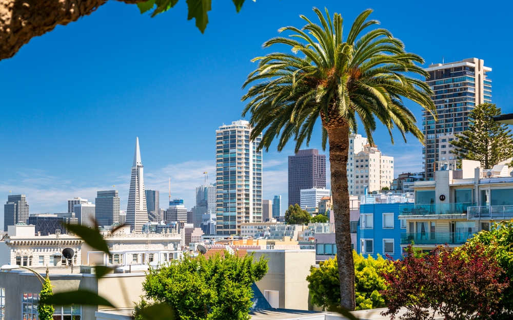 Downtown San Francisco with the Transamerica Pyramid and huge palm tree, San Francisco, California, United States of America. One of the cities to visit in America. 