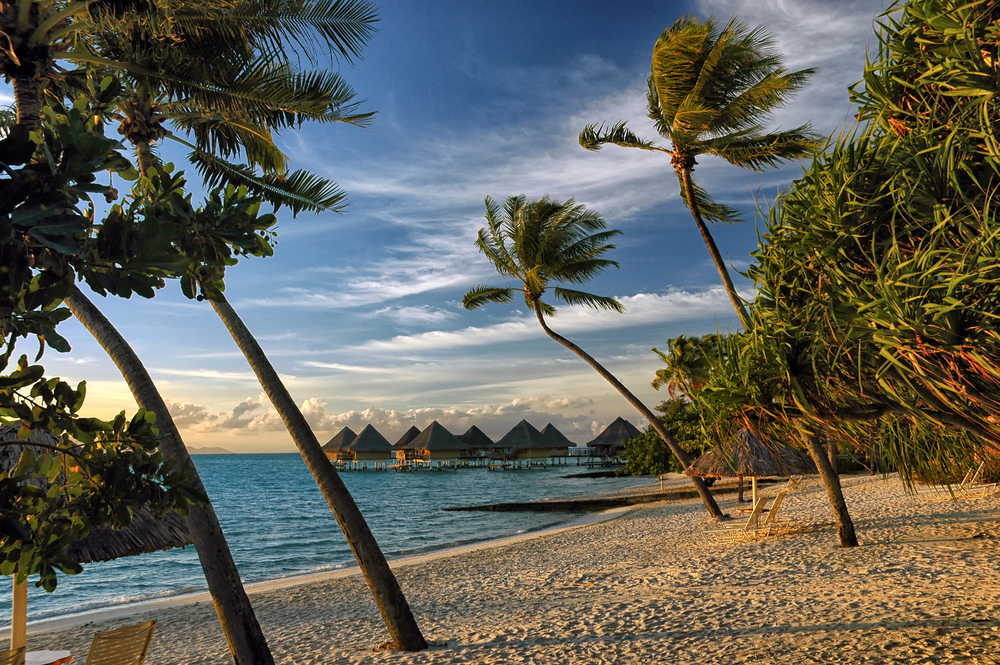 Sunrise sunset tropical Matira beach landscape with palm trees, bungalows, in Bora Bora island in French Polynesia. One of the best beaches in the world. 