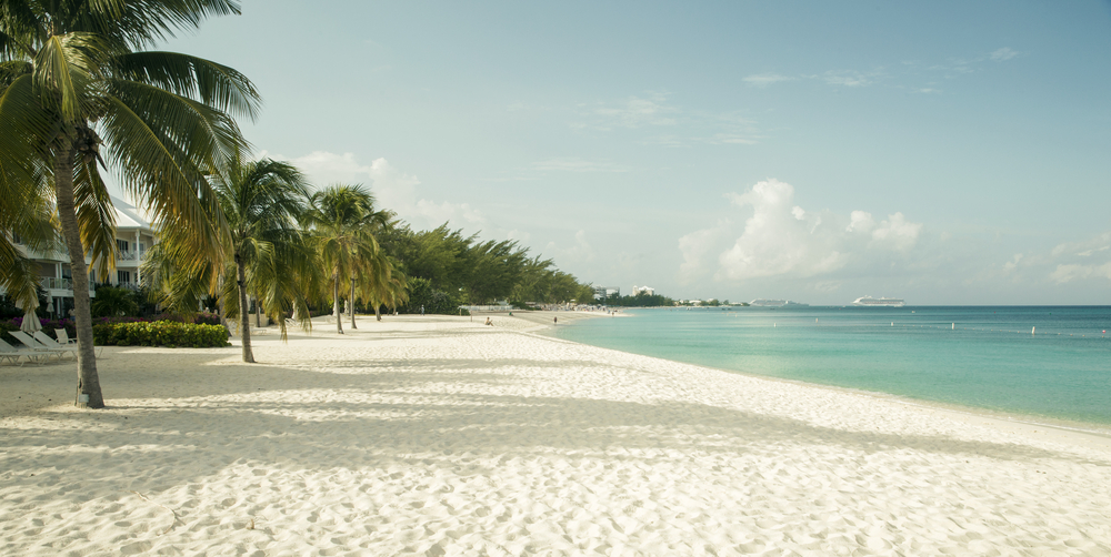 Beach and palm tress in Cayman Island. 