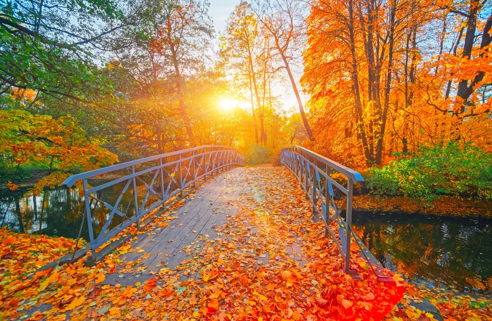 fall foliage over a bridge in Ohio, the article is about fall in Ohio  