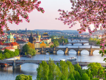 bridges over river with spring flowers