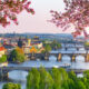 bridges over river with spring flowers