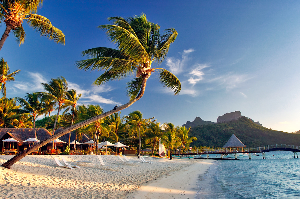 Golden hour at the beach in Bora Bora with many palm trees and lounge chairs.