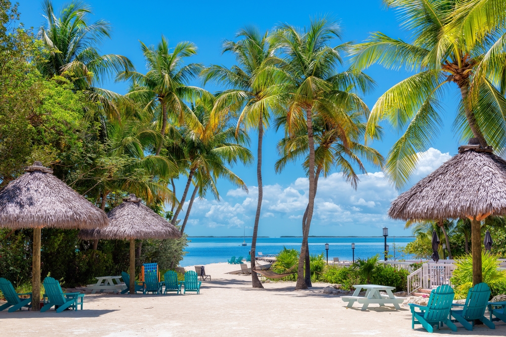 Beautiful resort area in the Florida Keys with many seats and palm trees with the ocean in the background.