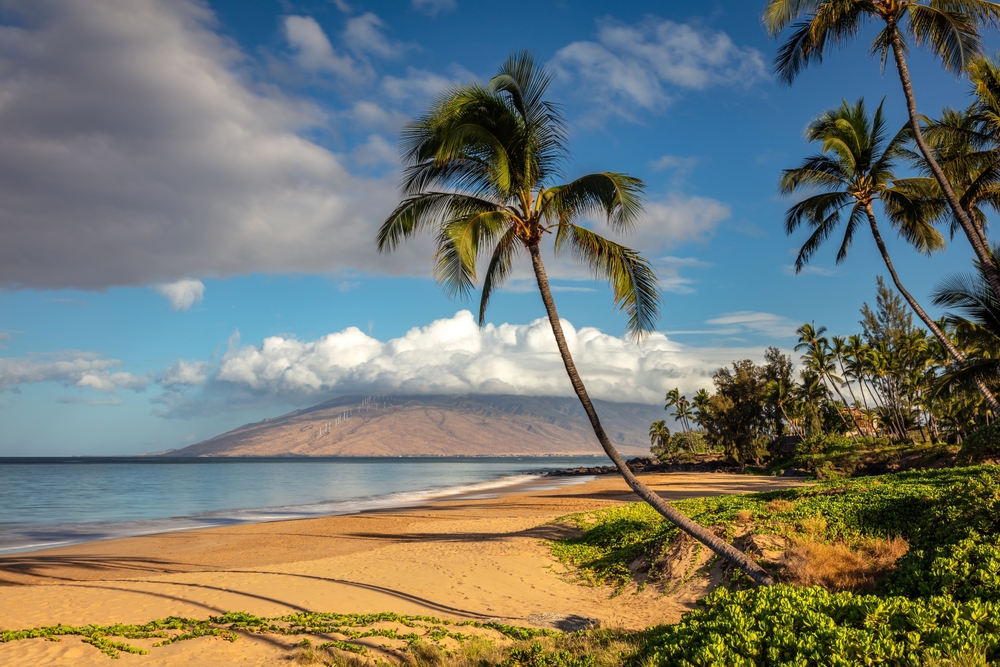 A beautiful beach with leaning palm trees in Maui, one of the best honeymoon destinations in the US.