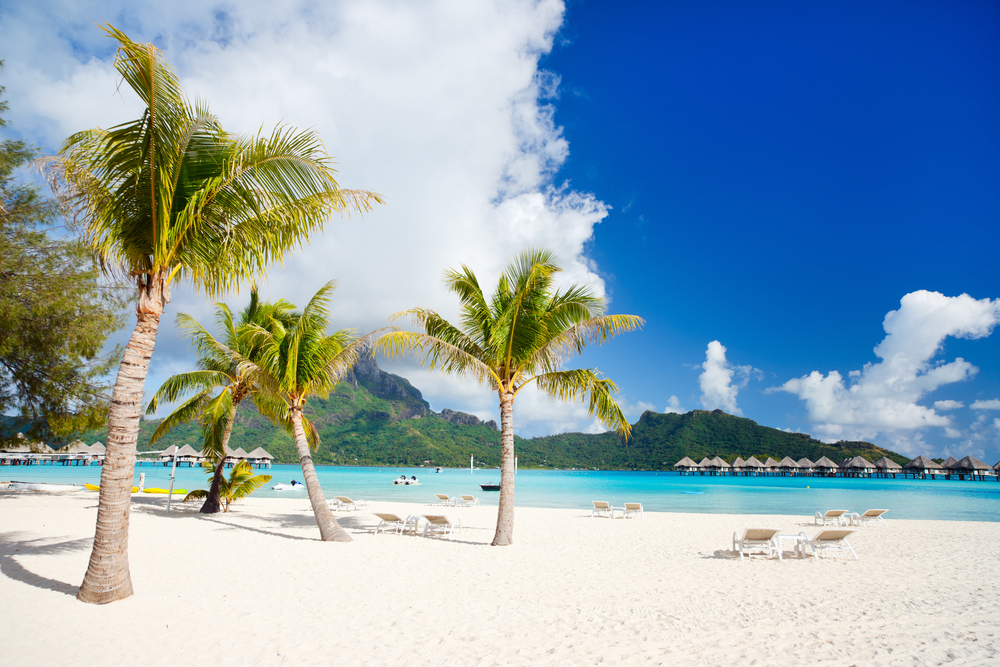 White sand beach with palm trees and lounge chairs near the ocean.