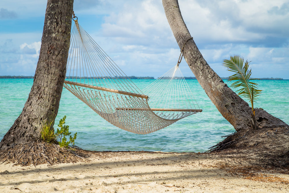 A hammock hung between palm trees with the ocean in the background.