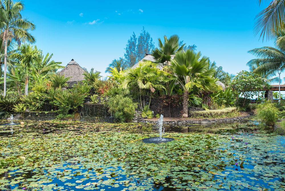 A pond filled with lily pads and fountains at Paofai Gardens in Tahiti.