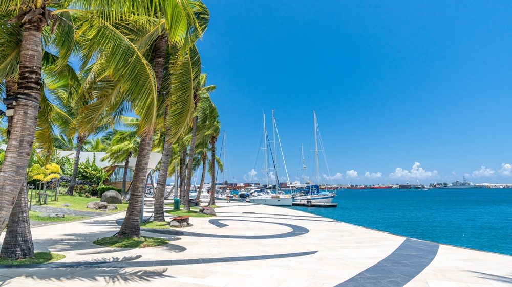 Promenade with palm trees along the ocean with docked sail boats.