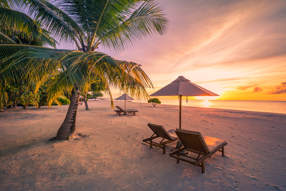 Pretty sunset over the beach with palm trees and lounge chairs under umbrellas.