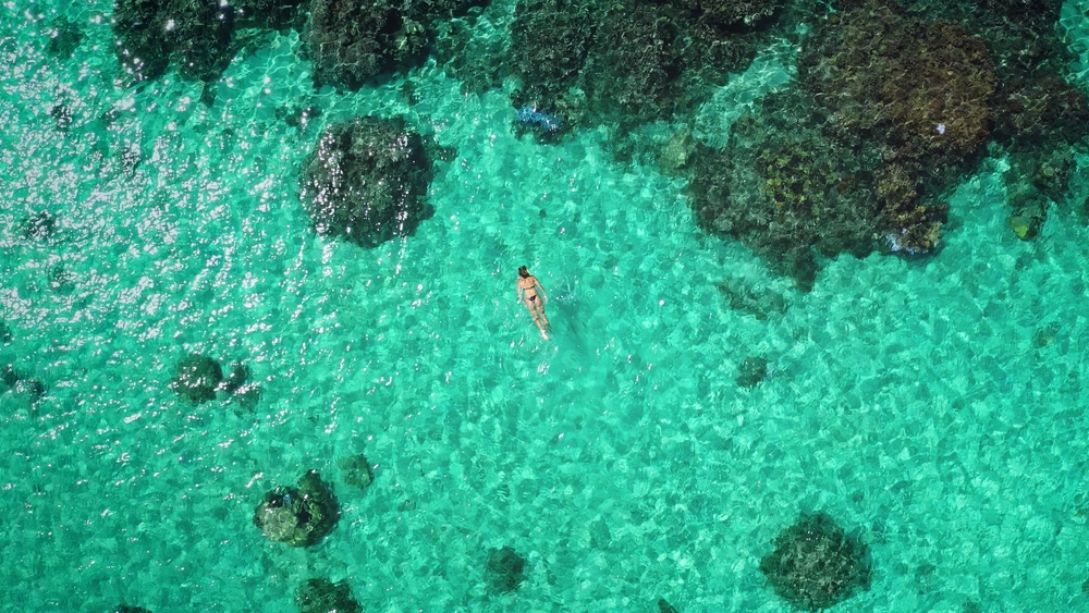 Aerial image of a woman snorkeling in super clear water.