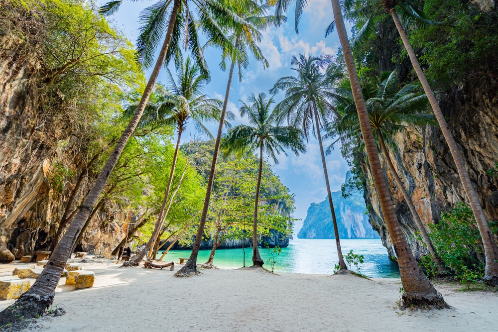 Sandy beach with palm trees in Thailand.