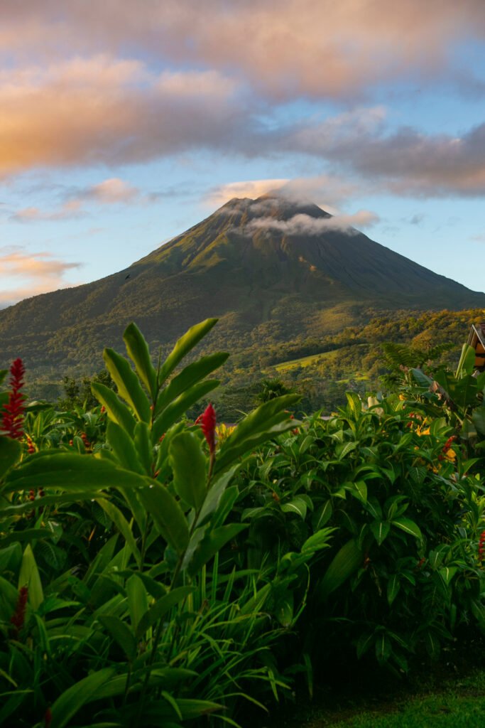 Arenal Volcano in Costa Rica with flowers in the foreground. The article is about travelling to Costa Rica