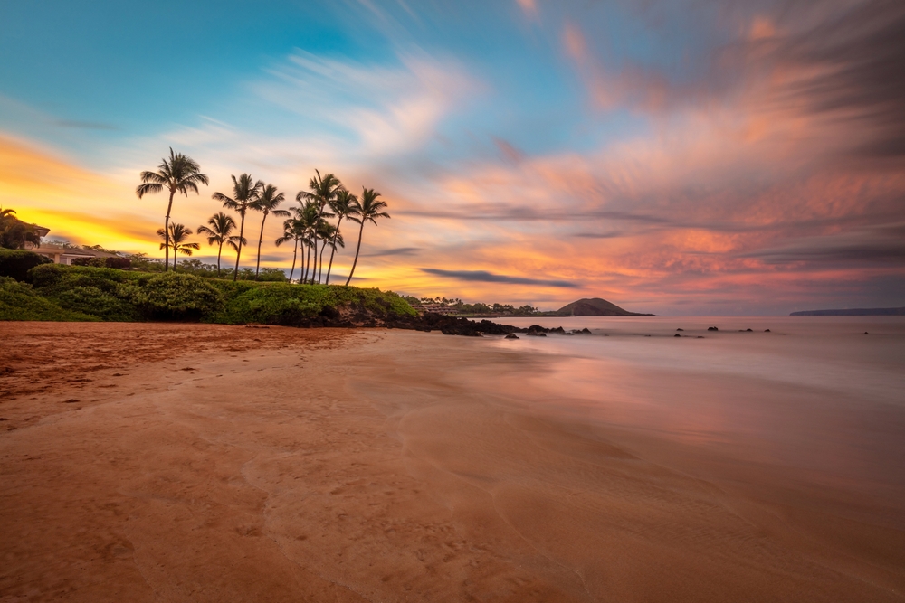 Palm trees on a tropical island beach, sunrise shot