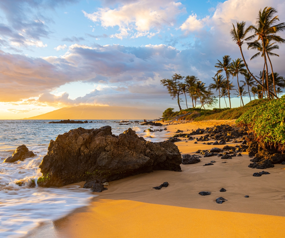 Rocky beach with palm trees and sunset