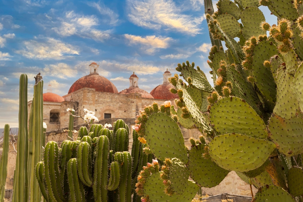 Image of an antique church in Oaxaca framed by a nopal, a typical Mexican plant and its beautiful flowers and fruits called tune.