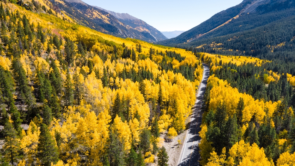 Road running through the fall foilage in Colorado. The article is about a Colorado road trip.